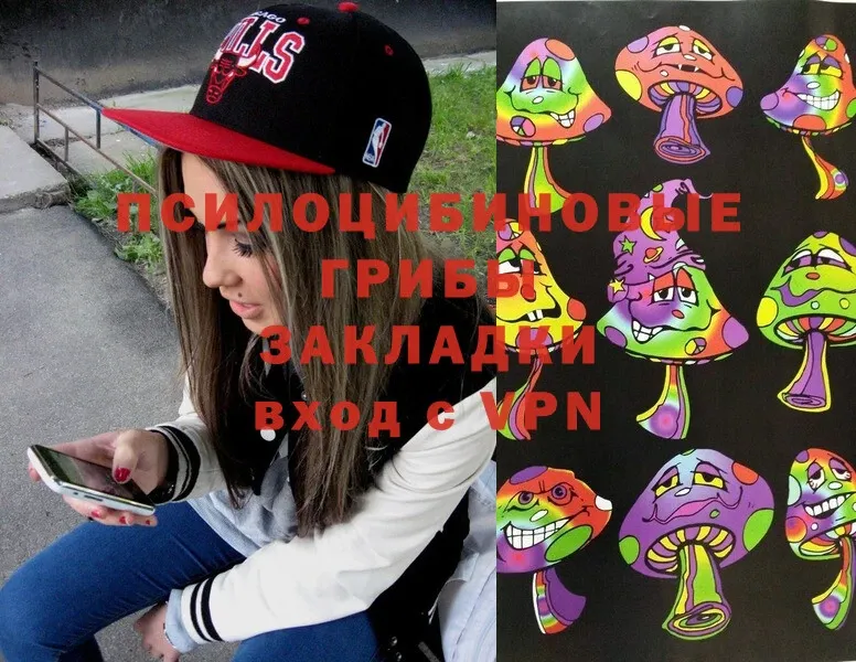 Галлюциногенные грибы MAGIC MUSHROOMS  kraken рабочий сайт  Североморск  где продают  